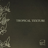 Album Tropical Texture
