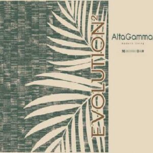 Album Alta Gamma Evolution 2