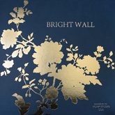 Album Bright Wall