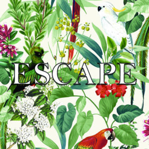 Album Escape