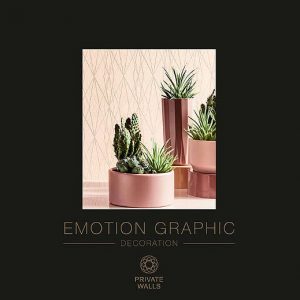Album Emotion Graphics