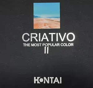 Album Criativo 2