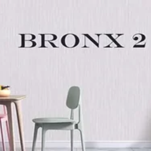 Album Bronx 2
