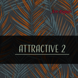 Album Attractive 2