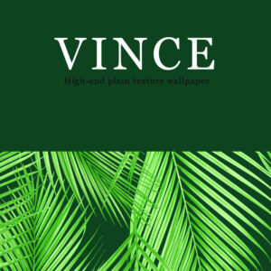 Album Vince