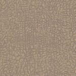 Papel de Parede Absolutely 369701