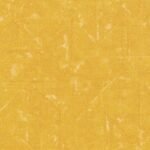 Papel de Parede Absolutely 369744