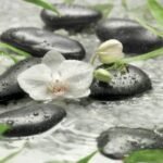 Painel Fotográfico 8-319 Orquídeas Brancas “Consultar disponibilidade do Produto”