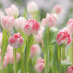 Painel Fotográfico 8-708 Jardim | Consultar disponibilidade do Produto |