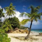 Painel Fotográfico 8-885 Paisagem Paradisíaca | Consultar disponibilidade do Produto |