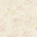 Papel de Parede Abby Rose AB42402