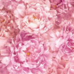 Painel Fotográfico 2-009 Flores Rosa "Consultar disponibilidade do Produto 19 9 8750-5835"