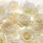 Painel Fotográfico 4-007 Rosas Brancas "Consultar disponibilidade do Produto 19 9 8750-5835"