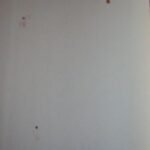 Papel de Parede Infantil Magic MC1004 | Consultar disponibilidade do Produto |