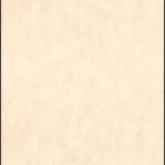 Papel de Parede Garden Party 11093306 “Consultar disponibilidade do Produto 19 9 8750-5835″