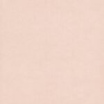 Papel de Parede Infantil Les Aventure 4 11202303