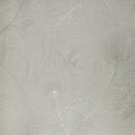 Papel de Parede Enchantment 121401