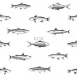 Papel de Parede Regatta Crew 138967 “Consultar disponibilidade do Produto 19 9 8750-5835”