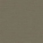 Papel de Parede Alta Gama Evolution 15870