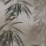 Papel de Parede Dimensions 219540 | Consultar disponibilidade do Produto |