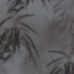 Papel de Parede Dimensions 219545