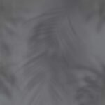 Papel de Parede Dimensions 219552