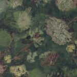 Papel de Parede Van Gogh 220001 “Consultar disponibilidade do Produto 19 9 8750-5835”