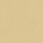 Papel de Parede Vinílico Milano 220238 Liso Tom de Bege “Consultar disponibilidade do Produto 19 9 8750-5835”