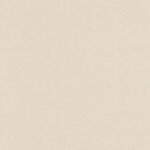 Papel de Parede Infantil Les Aventures 3 23110117 Liso com brilho Tom de Bege