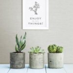 Papel de Parede Soho 24278 Abstrato