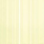Papel de Parede Infantil Fairland 281003