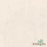 Papel de Parede Classici 2 2A092417R “Consultar disponibilidade do Produto 19 9 8750-5835”