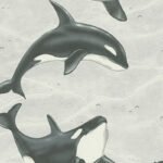 Papel de Parede San Francisco 300531