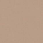 Papel de Parede Vinílico Life 4 303233 Liso com leve brilho Tom de Bege médio