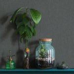 Papel de Parede Botânica 33967