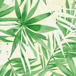 Papel de Parede Colibri 341252