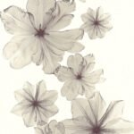 Papel de Parede Summertime 342722