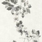 Papel de Parede Daniel Hetcher 5 344953