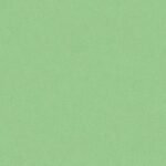 Papel de Parede Colibri 346018