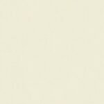 Papel de Parede Colibri 346025