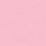 Papel de Parede Colibri 346032