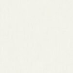 Papel de Parede Colibri 346056