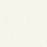 Papel de Parede Colibri 346087