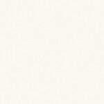 Papel de Parede Colibri 347213