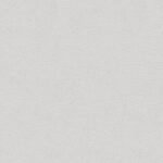 Papel de Parede Colibri 347220