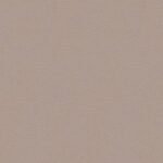 Papel de Parede Colibri 347268