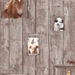 Papel de Parede Infantil Little Stars 358422