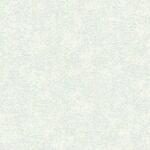 Papel de Parede Colibri 360811