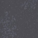 Papel de Parede Colibri 360826