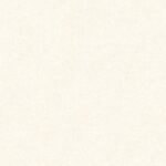 Papel de Parede Colibri 366284